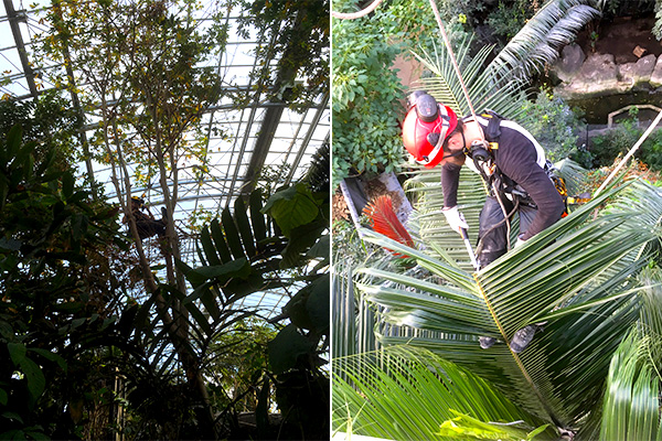 ima 12 travaux zoo vincennes